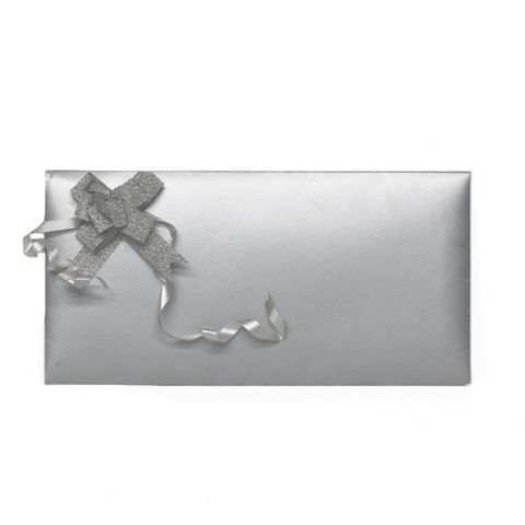 VOUCHER ENVELOPE 280 GSM 220mmx115mm SILVER 20 PER PKT