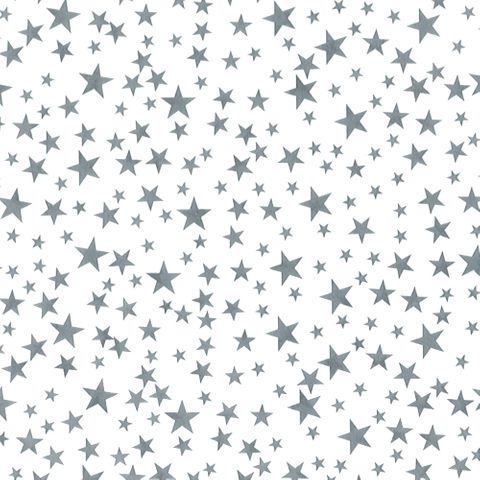 TISSUE PRINTED QUIRE (20 SHEETS) STARLIGHT SILVER SIZE 76cm X 50cm