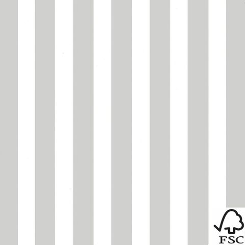 MINI ROLL REGAL STRIPE SILVER 200mm x 50Mtr (NO RETURNS)