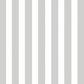 MINI ROLL REGAL STRIPE SILVER 200mm x 50Mtr (NO RETURNS)