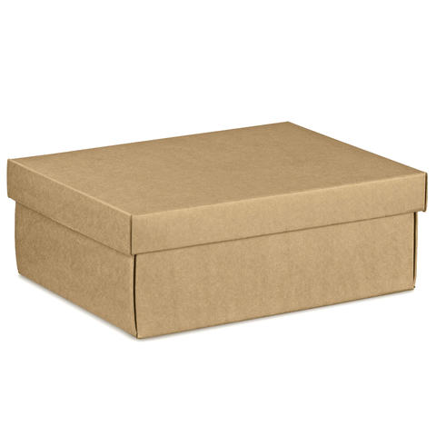 BROWN KRAFT BOX WITH LID SMALL 300(L) X 230(W) X 110(H)MM