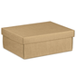 BROWN KRAFT BOX WITH LID SMALL 30(L) x 23(W) x 11(H) cm