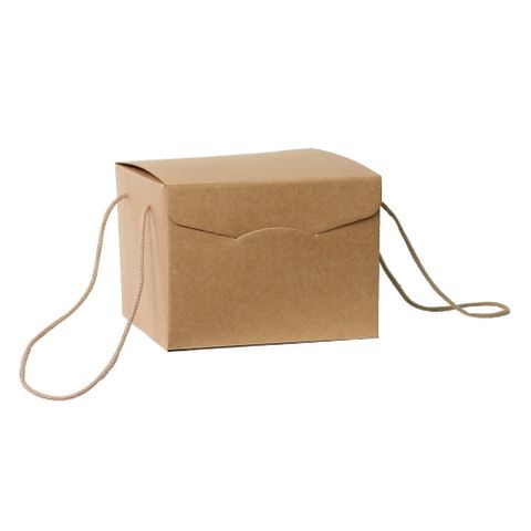 BROWN BOX WITH ROPE HANDLE SMALL 24.5(L) x 24.5(W) x 18(H) cm