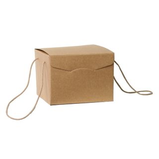 BROWN BOX WITH ROPE HANDLE SMALL 245(L) x245(W) x180(H) MM