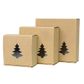 BASSANO BOX TREE 200(L)x200(W)x100(H)mm SMALL