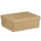 BROWN KRAFT BOX WITH LID X - LARGE 455(L) X 320(W)  X 150(H) MM