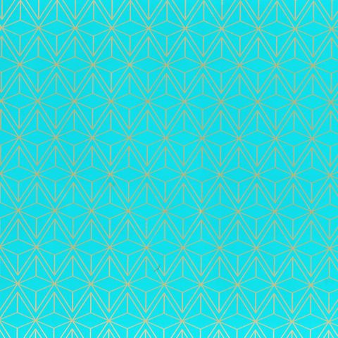 GEO TURQUOISE 500mm x 50Mtr