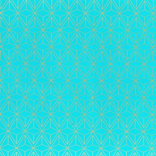 GEO TURQUOISE 500mm x 50Mtr