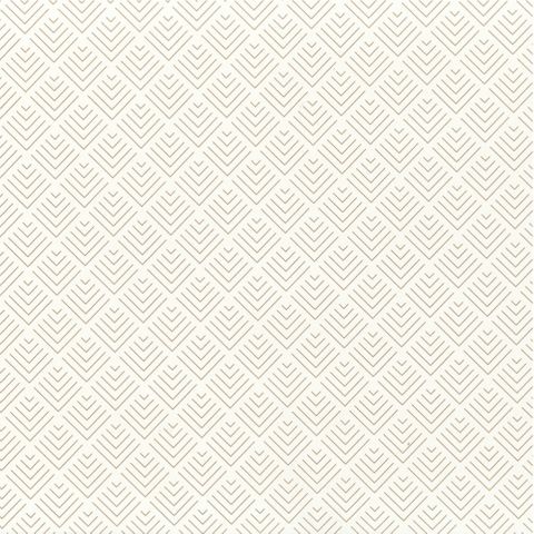 GEO IVORY 500mm x 50Mtr