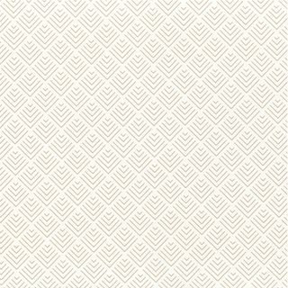 GEO IVORY 500mm x 50Mtr