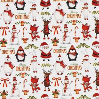 MINI ROLL JOLLY XMAS 200mm x 50Mtr (NO RETURNS)