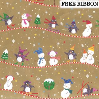 FROSTY FRIENDS 500mm x 25Mtr -FREE DIVA 25mm x 9Mtr SILVER