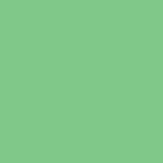 TISSUE QUIRE (24) APPLE GREEN SIZE 76cm X 50cm