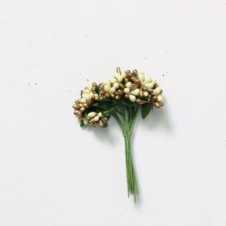 PICKS C BUNDLE CREAM/GOLD- 12 PER BUNCH