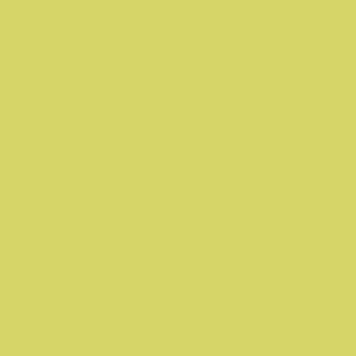 TISSUE QUIRE (24 SHEETS) PISTACHIO GREEN SIZE 76cm x 50cm