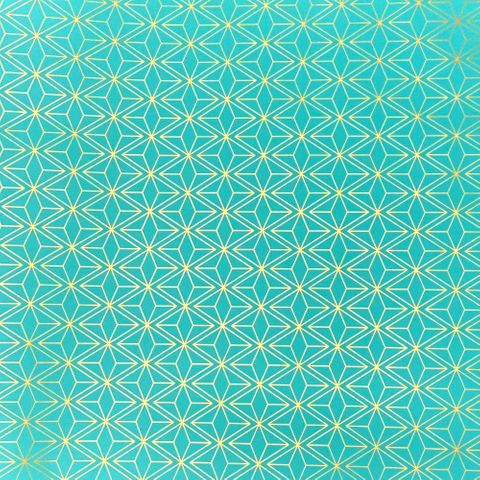 GEO TURQUOISE 500mm x 50Mtr