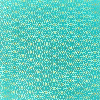 GEO TURQUOISE 500mm x 50Mtr