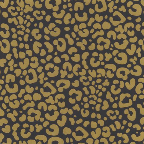 ROAR BLACK / GOLD 500mm x 50Mtr