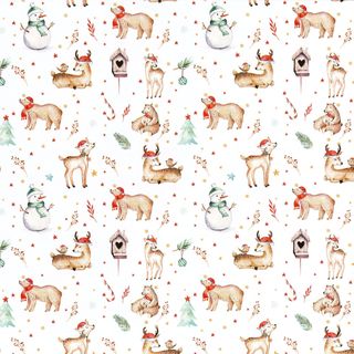 NORDIC XMAS 500mm x 50Mtr