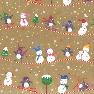 FROSTY FRIENDS 500mm x 25Mtr