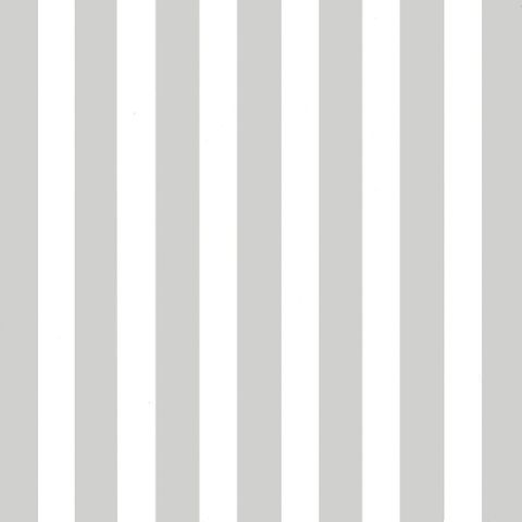 REGAL STRIPE SILVER & WHITE 500mm x 50Mtr