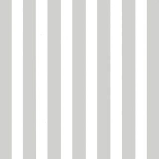 REGAL STRIPE SILVER & WHITE 500mm x 50Mtr