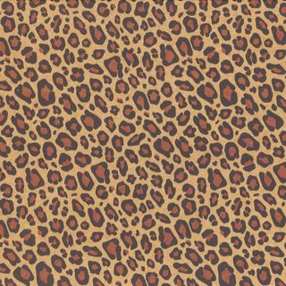 TISSUE PRINTED QUIRE (20 SHEETS) LEOPARD SIZE 76cm x 50cm