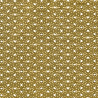 GEO GOLD 500mm x 50Mtr