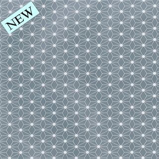 GEO SILVER 500mm x 50Mtr