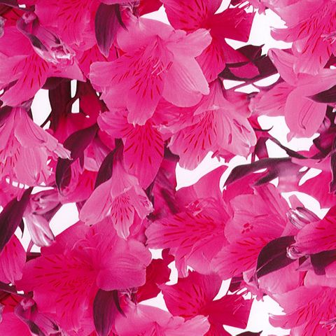 PRETTY N PINK 500mm x 50Mtr