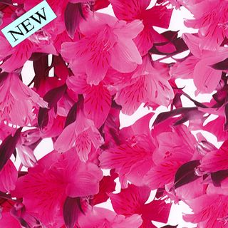 PRETTY N PINK 500mm x 50Mtr