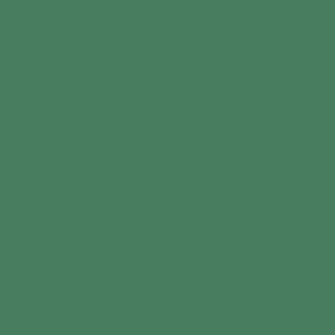 TISSUE QUIRE (24 SHEETS) HOLIDAY GREEN SIZE 76cm x 50cm