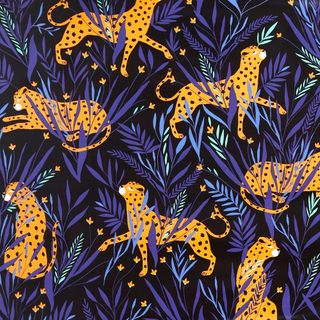 WILD CAT 500mm x 50Mtr