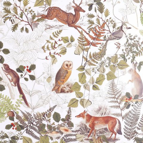 MINI ROLL ENCHANTED FOREST 200mm x 50Mtr (NO RETURNS)