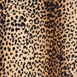 MINI ROLL LEOPARD 200mm x 50Mtr (NO RETURNS)