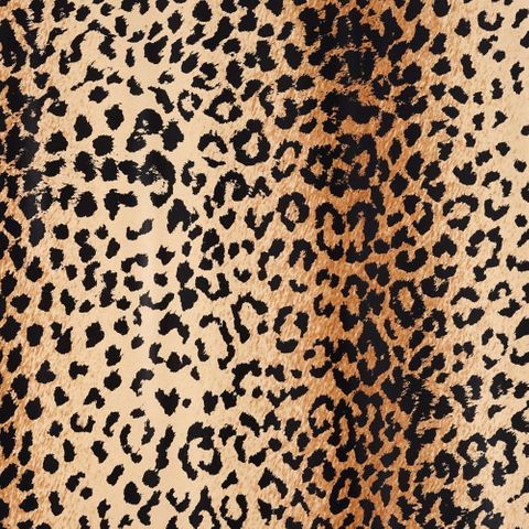 MINI ROLL LEOPARD 200mm x 50Mtr (NO RETURNS)