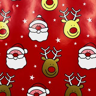 RUDOLPH 500mm x 50Mtr