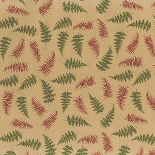 FERNZ (KRAFT) 350mm x 50Mtr
