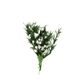 PICKS H BUNDLE WHITE SPRIGG- 12 PER BUNCH