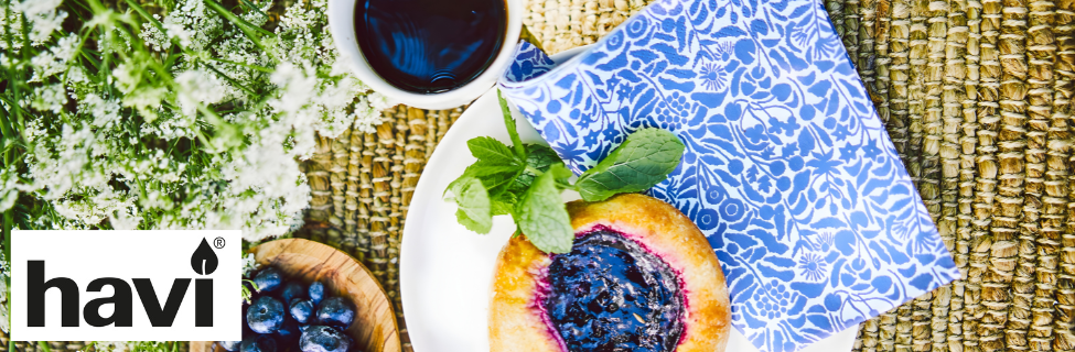 Havi PG Web - Banner.png
