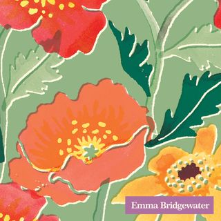IHR Cocktail Cosmos Poppies Emma Bridgewater