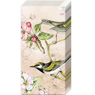 IHR Tissue Bird Symphony Cream