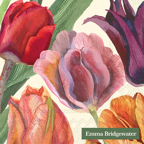 IHR Cocktail Tulips Cream Emma Bridgewater