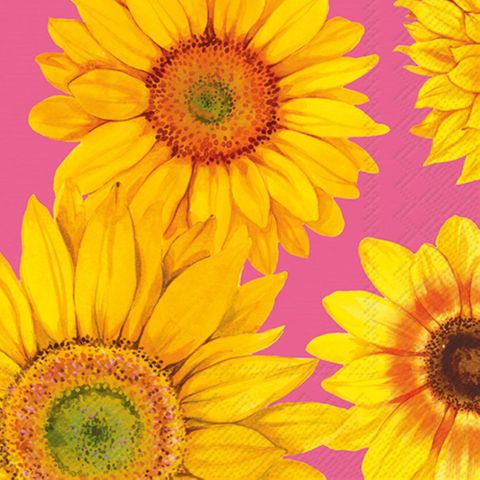 IHR Luncheon Joyful Sunflower Pink