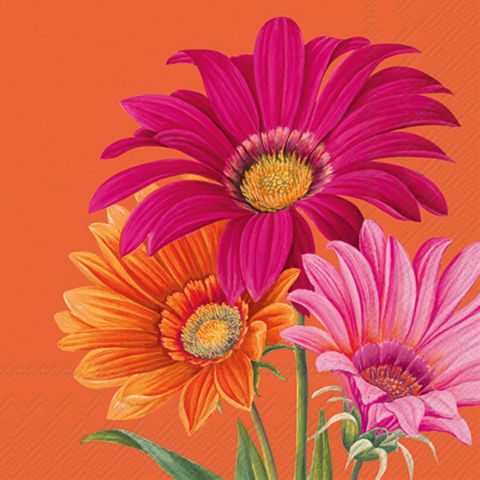 IHR Luncheon Joyful Gerbera Orange