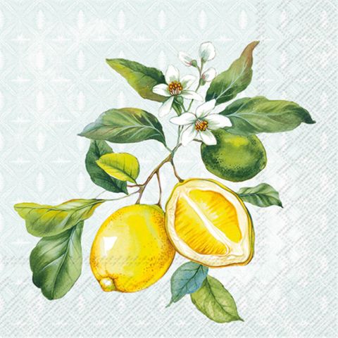 IHR Cocktail Lemon Wreath