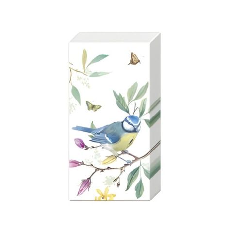 IHR Tissue Spring Story