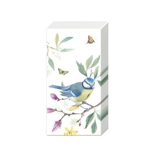 IHR Tissue Spring Story