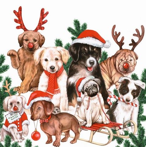 IHR Luncheon Dogs - Mas