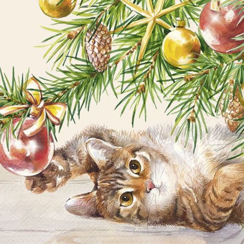 IHR Luncheon Christmas Cat